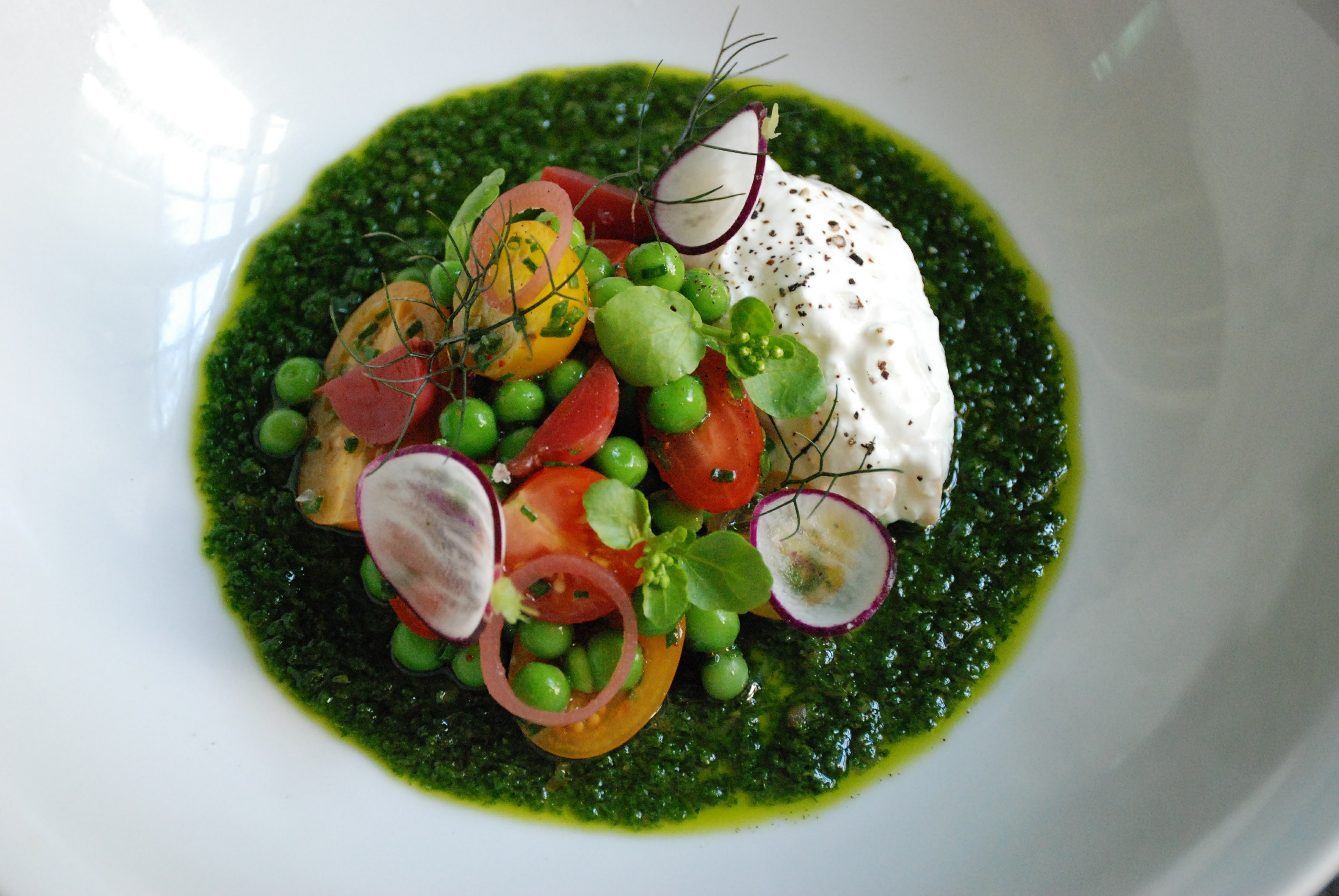 Dish by Andrew D'Ambrosi